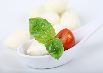 Image showing Mozzarella with tomato and basil