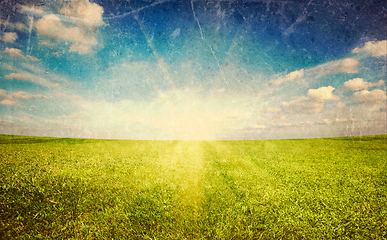 Image showing Sunset sun and green grass field