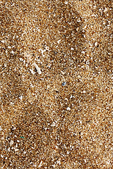 Image showing Beach sand of grinded sea shells