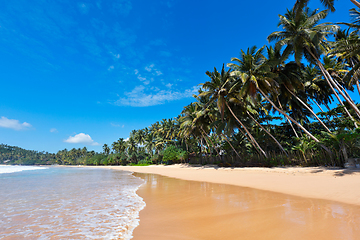 Image showing Idyllic beach. Sri Lanka