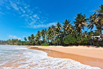 Image showing Idyllic beach. Sri Lanka