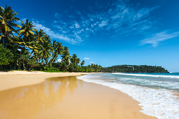 Image showing Idyllic beach. Sri Lanka