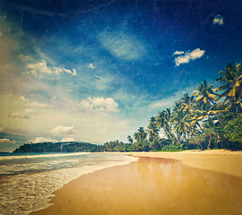 Image showing Idyllic beach. Sri Lanka