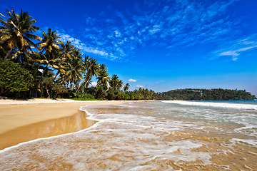 Image showing Idyllic beach. Sri Lanka