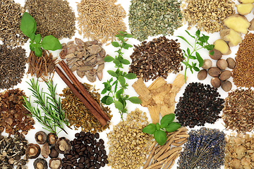 Image showing Large Collection of Nervine Health Food Ingredients 