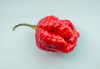 Image showing hot red ghost pepper