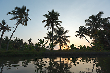 Image showing Sunset on Kerala backwaters