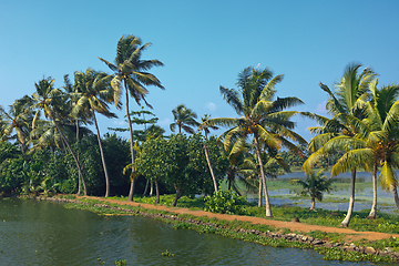 Image showing Kerala backwaters