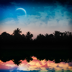 Image showing Magic tropical night