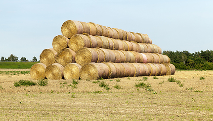 Image showing cylindrical stack of straw