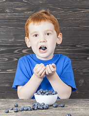 Image showing blueberry dessert