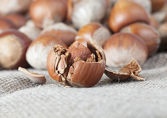 Image showing brown hazelnuts