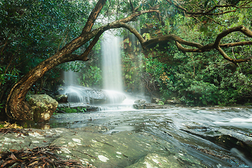 Image showing Waterfall lovers paradise