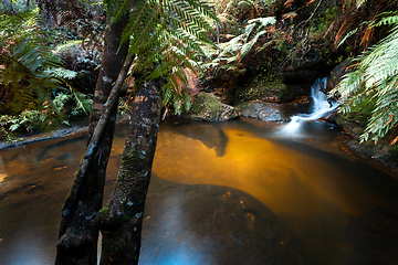 Image showing Waterfall and swimming hole in Blue Mountains