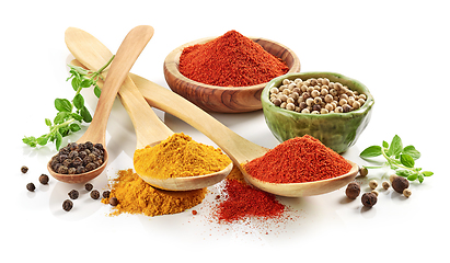 Image showing various spices on white background