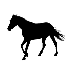 Image showing Horse Silhouette