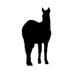 Image showing Horse Silhouette