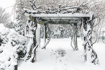 Image showing Timber trellis arch covered in snow during winter