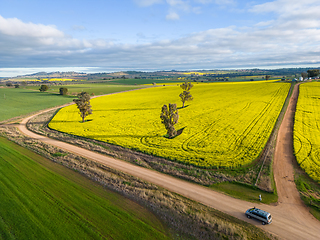 Image showing Farmlands as far as the eye can see in rural NSW Australia