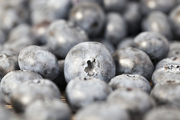 Image showing ripe blueberries