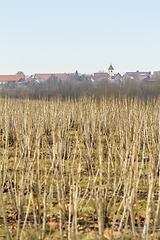 Image showing Uebrigshausen in Hohenlohe