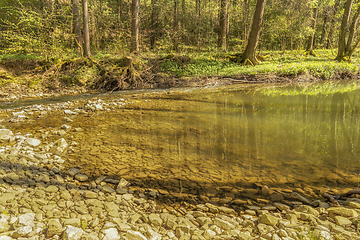 Image showing waterside scenery at spring time