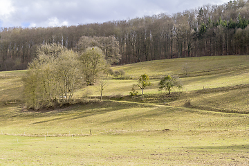 Image showing rural landscape in Hohenlohe