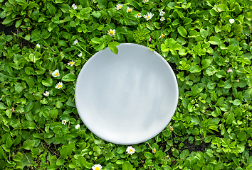 Image showing empty white plate