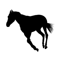 Image showing Horse Silhouette