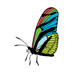 Image showing Butterfly Icon