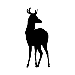 Image showing Deer Silhouette