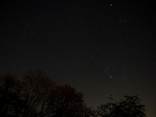 Image showing Night Sky with Orion and Gemini Constellations