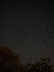 Image showing Orion Constellation