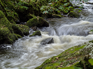 Image showing River Flowing