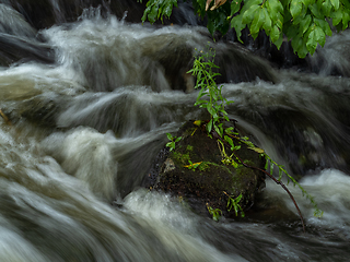 Image showing Afon Cefni in Llangefni