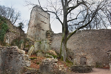 Image showing Castle Bolczow courtyard