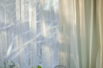 Image showing curtains hang in front of window