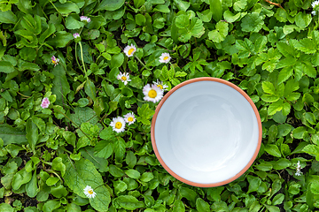 Image showing empty white bowl