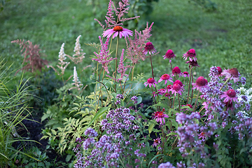 Image showing beautiful flower bed