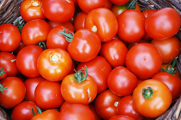 Image showing fresh tomatoes texture