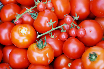 Image showing fresh tomatoes texture