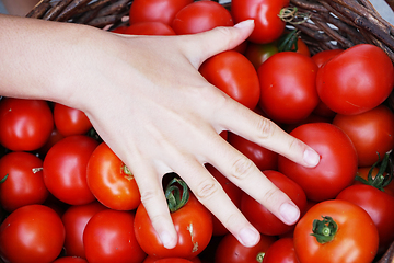 Image showing fresh tomatoes texture