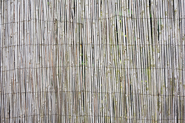 Image showing bamboo straw texture