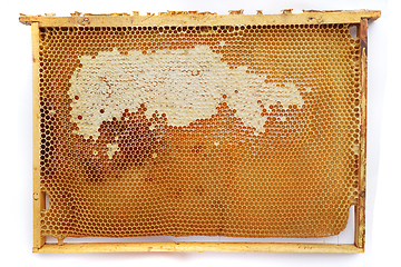 Image showing honeycomb frame isolated