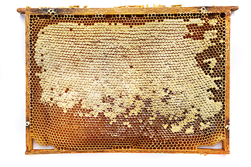 Image showing honeycomb frame isolated