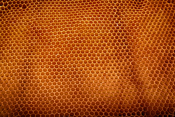 Image showing honey combs background