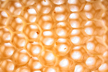 Image showing honey combs background