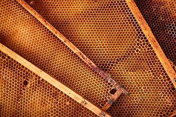 Image showing honey combs background