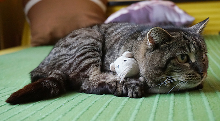 Image showing cat and mouse toy