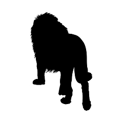 Image showing Lion Silhouette